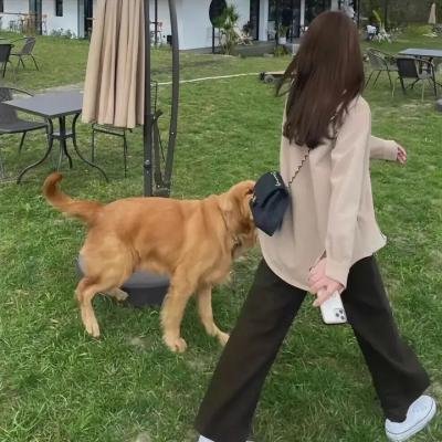 网路杀手